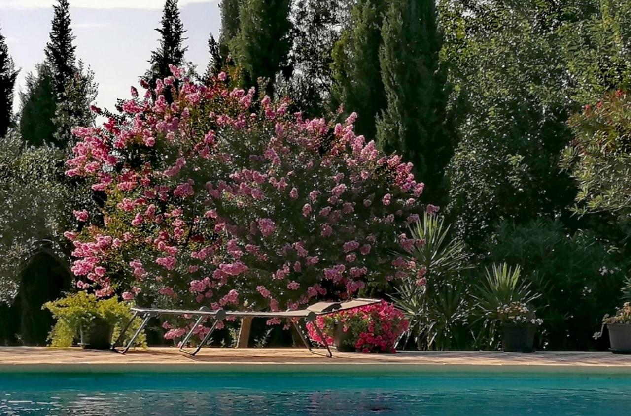 Villa Isabelle Barraca de Aguas Vivas Exterior photo